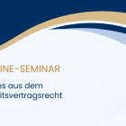 Bild Online-Seminar 